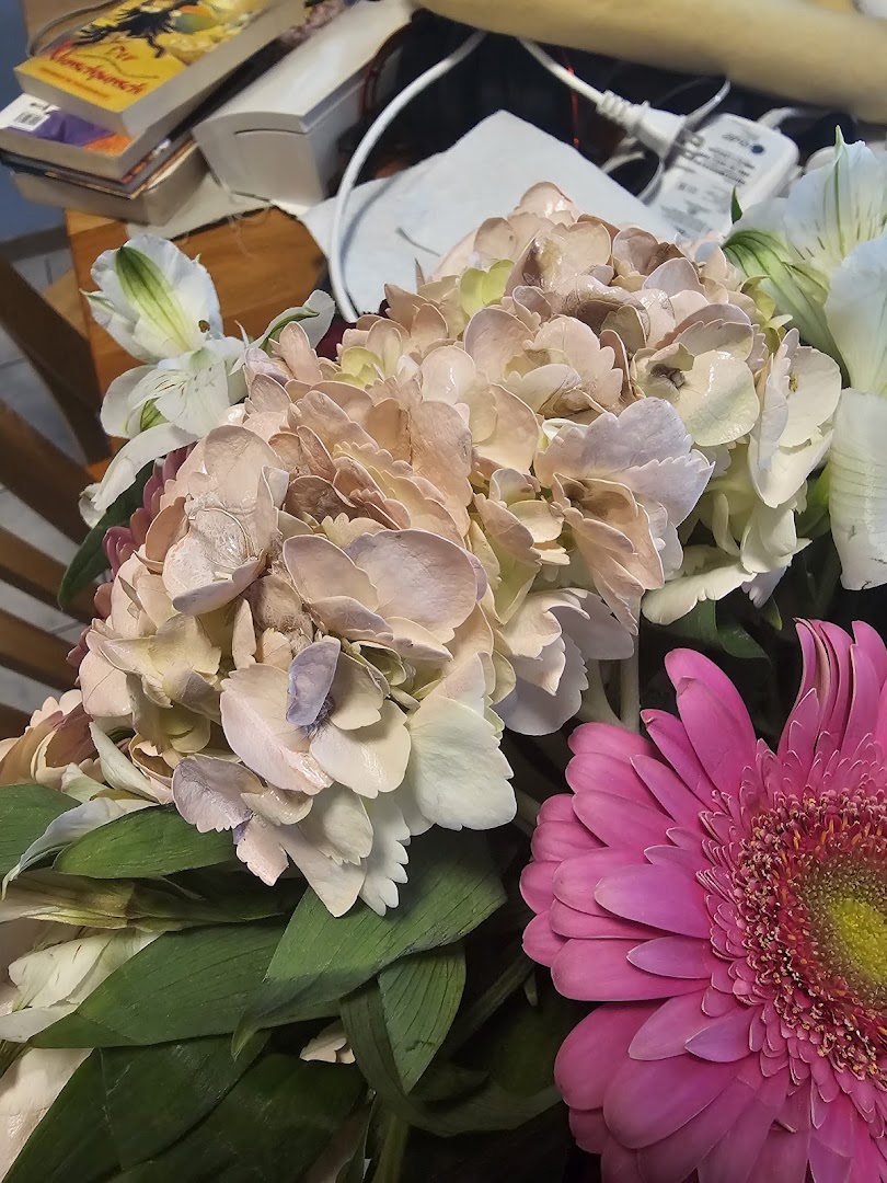 Cleopatra Flowers — photo 14