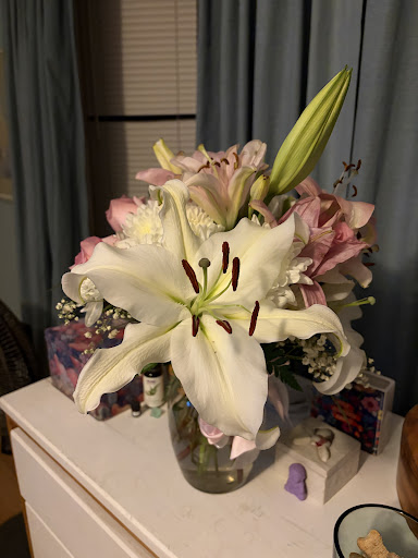 Cleopatra Flowers — photo 21