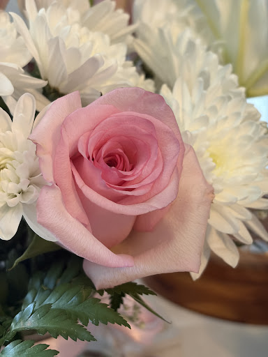 Cleopatra Flowers — photo 23